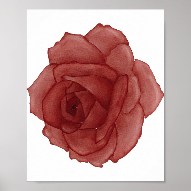 Poster Aquarelle rose rouge face à gauche (Devant)