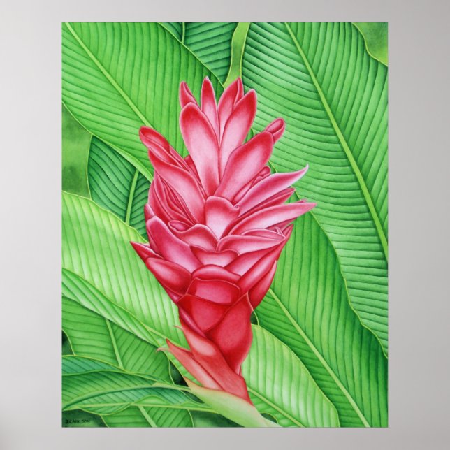 Poster Aquarelle rouge (Devant)