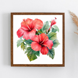 Poster Aquarelle Rouge Hibiscus lumineux Flore verte