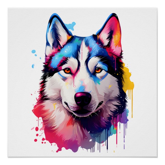 Poster Aquarelle Sibérienne Husky Art coloré (Devant)