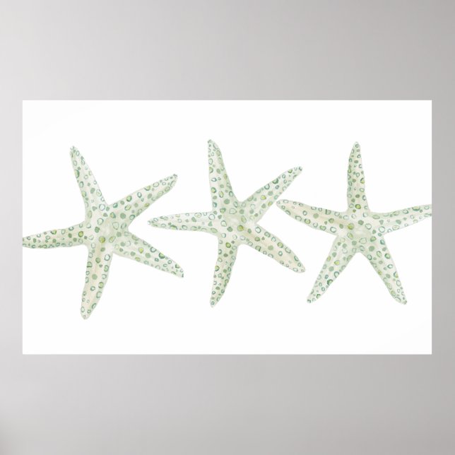 Poster Aquarelle Starfish Trio (Devant)