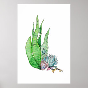 Poster Aquarelle Succulente Végétation Botanique