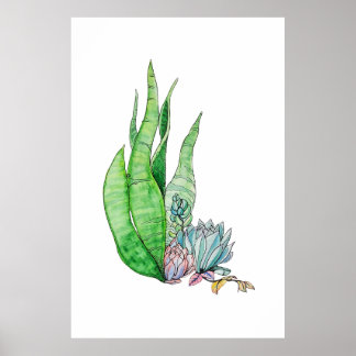 Poster Aquarelle Succulente Végétation Botanique