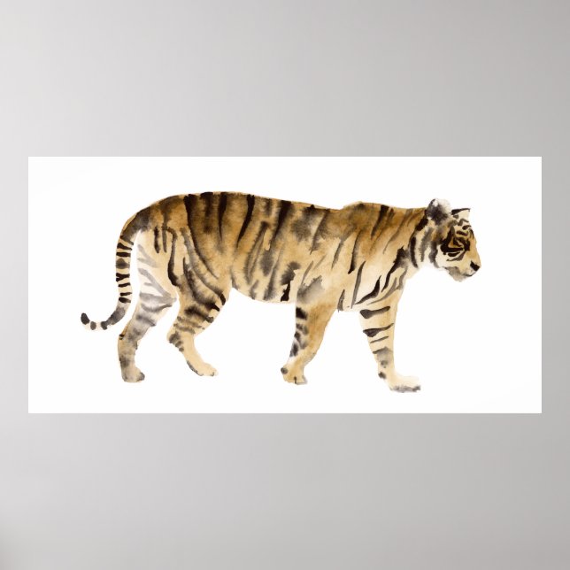 Poster Aquarelle Tigre Marcher (Devant)