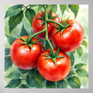 Poster Aquarelle Tomate Mûre sur sa Vigne Fraîche