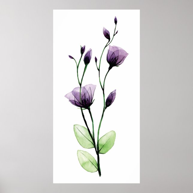 Poster Aquarelle transparente fleur rose sauvage (Devant)