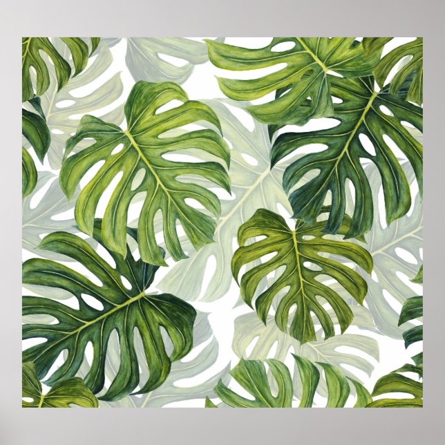Poster Aquarelle tropicale de Monstera verte (Devant)