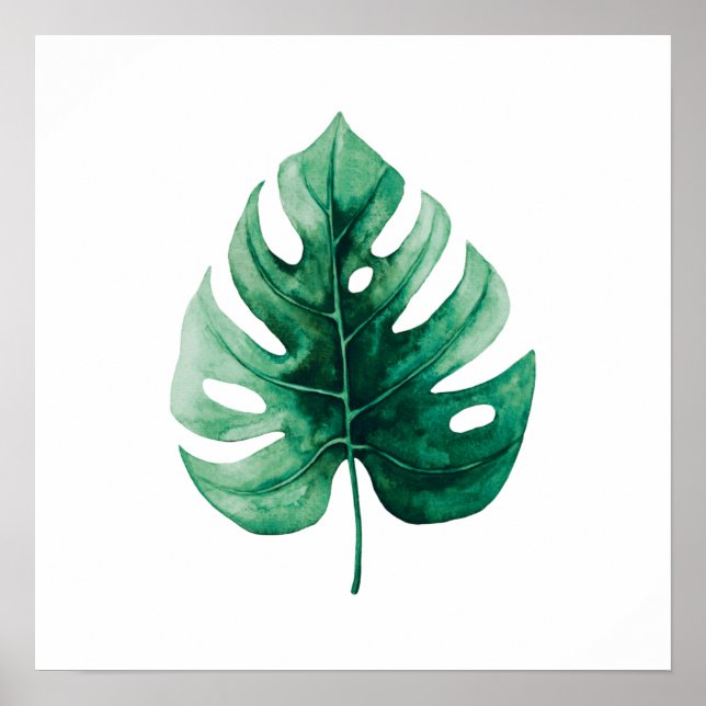 Poster Aquarelle tropicale - Illustration de la feuille v (Devant)
