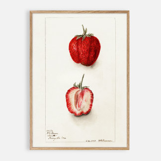 Poster Aquarelle vintage fraise