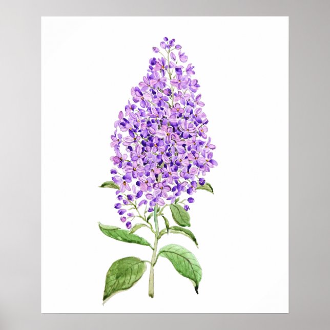 Poster aquarelle violette (Devant)