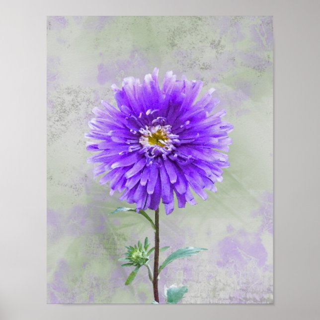 Poster Aquarelle violette Dahlia (Devant)