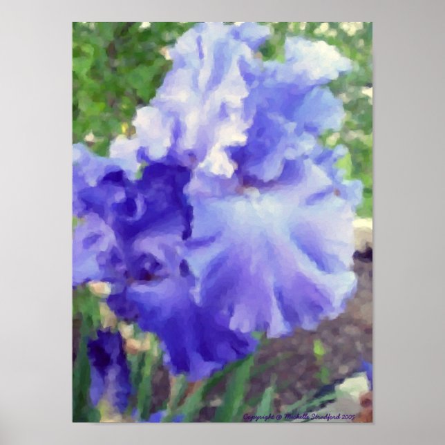 Poster Aquarelle violette Iris (Devant)
