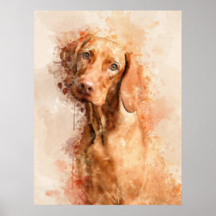 Poster Aquarelle Vizsla