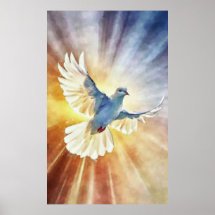 Poster Aquarelle White Flying Dove