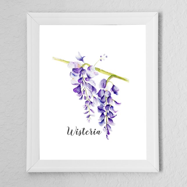 Poster Aquarelle Wisteria Botanique (Créateur téléchargé)
