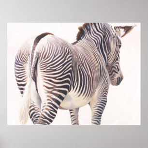 Poster Aquarelle Zebra Wildlife