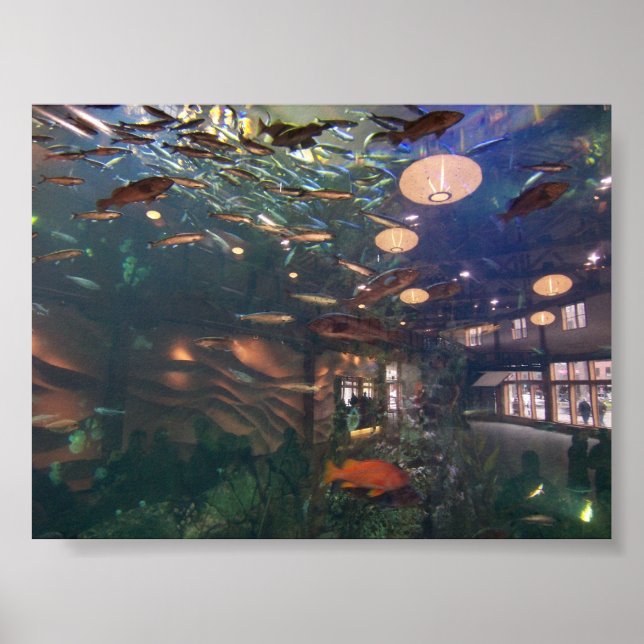 Poster Aquarium de Seattle (Devant)