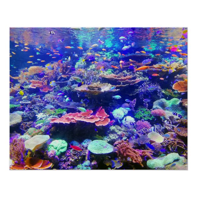 Poster Aquarium du Colorful Tropical (Devant)