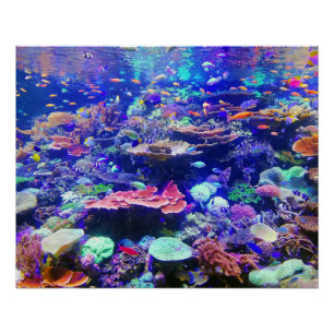 Poster Aquarium tropical coloré vibrant de poissons
