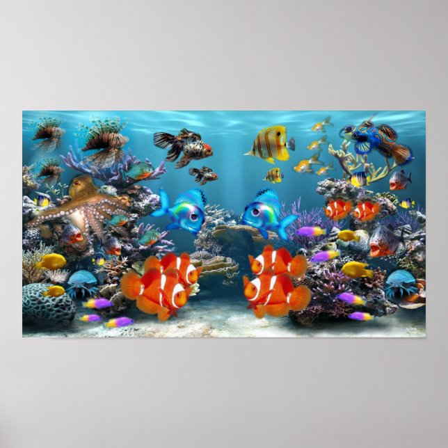 Poster Aquarium tropical vibrant (Devant)