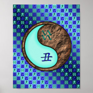 Poster Aquarius & Earth Ox
