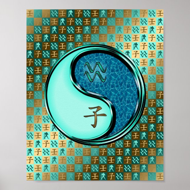 Poster Aquarius et Rat d'eau (Devant)