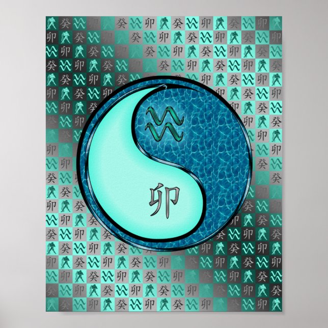 Poster Aquarius & Water Rabbit (Devant)