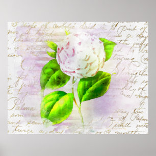 Poster ** AR23 Floral Ancienne écriture manuscrite Vintag