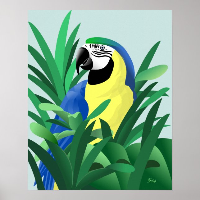Poster Ara bleu et or (Devant)