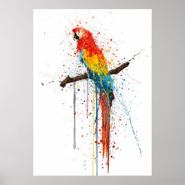 Poster Ara écarlate (Devant)