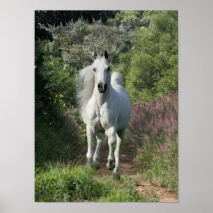 Poster Arabe Gris Courant Sur Le Chemin Avec Fleurs
