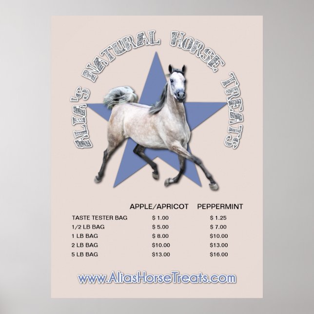 Poster Arabian Horse - Alia's Natural Horse Traitements (Devant)