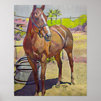 Poster Arabian Horse Art