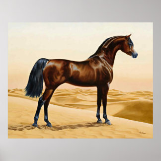 Poster Arabian Horse - William Barraud