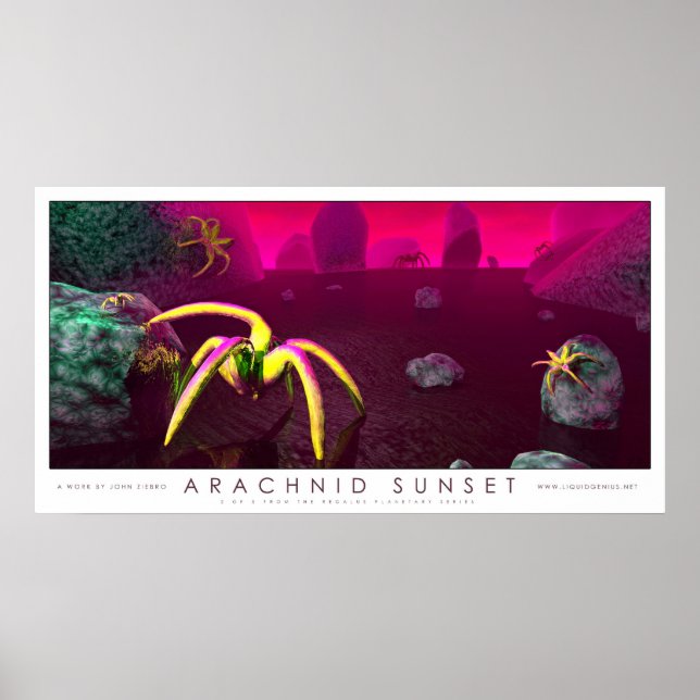 Poster Arachnid coucher de soleil (Devant)