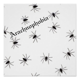 Poster Araignée