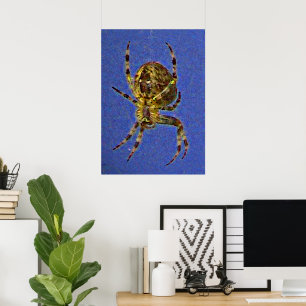 Poster Araignée à orbite colorée