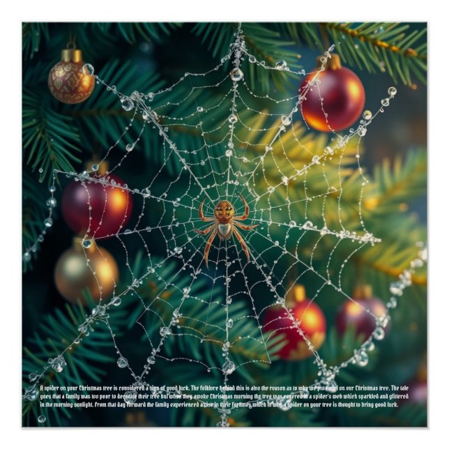 Poster Araignée de Noël (Devant)