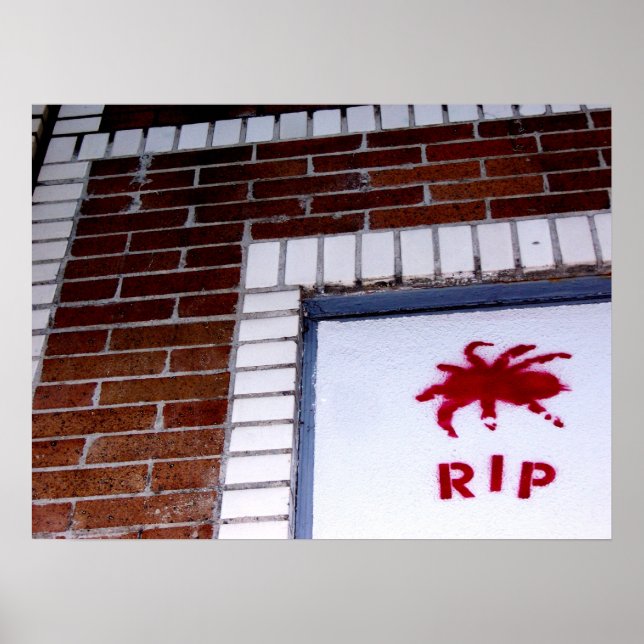 Poster araignée r.i.p. (Devant)