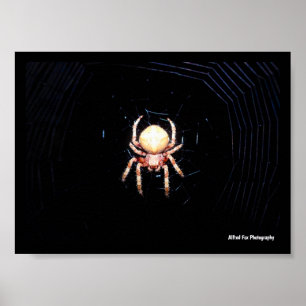 Poster Araignée tissant une roue orange