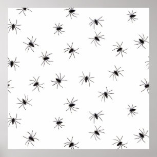 Poster Araignées