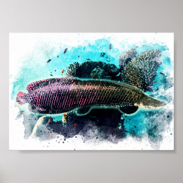 Poster Arapaima Monster Poisson Aquarelle Pirarucu Paiche (Devant)