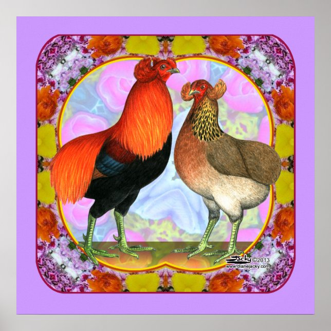 Poster Araucana Poulets Art Nouveau (Devant)