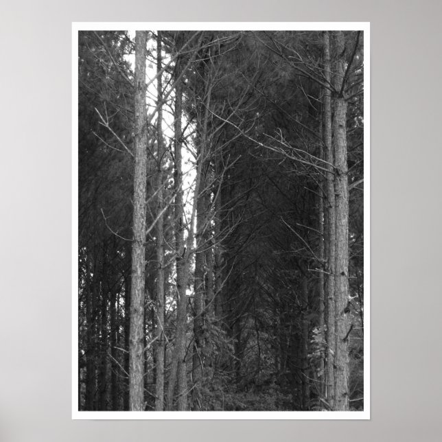 Poster Arborescence (Devant)