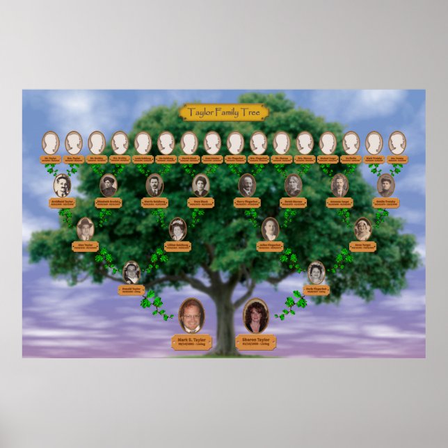 Poster Arborescence de la famille Taylor (Devant)