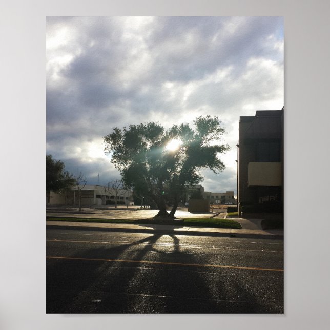 Poster Arborescence urbaine (Devant)