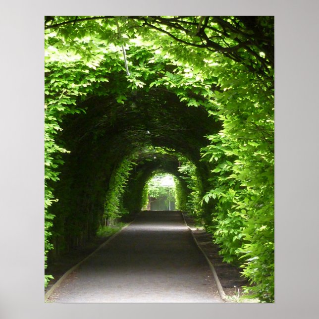 Poster Arbour de jardin botanique ombragé (Devant)