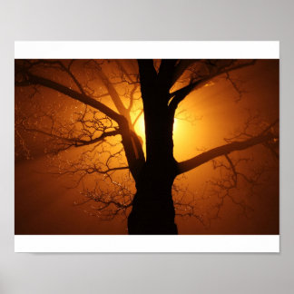 Poster Arbre