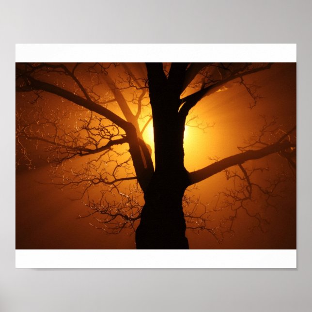 Poster Arbre (Devant)