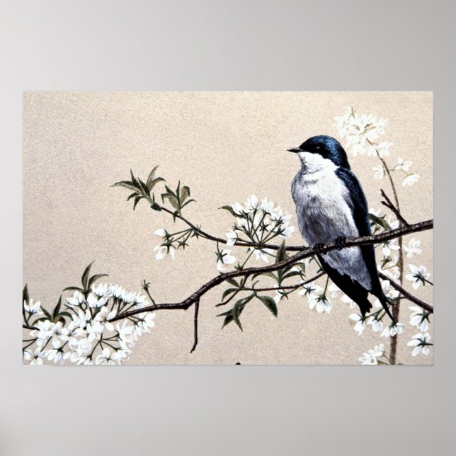 Poster Arbre (Devant)